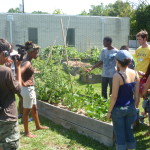 West End Garden field trip